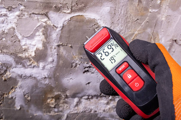 Best Mold Remediation for Specific Building Types in Woodbine, GA