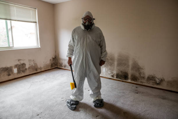 Best White Mold Remediation in Woodbine, GA